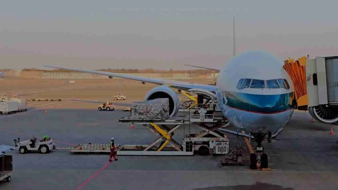 Transporte de Carga Aérea e Despachante de Carga Aérea: Tudo o que Você Precisa Saber