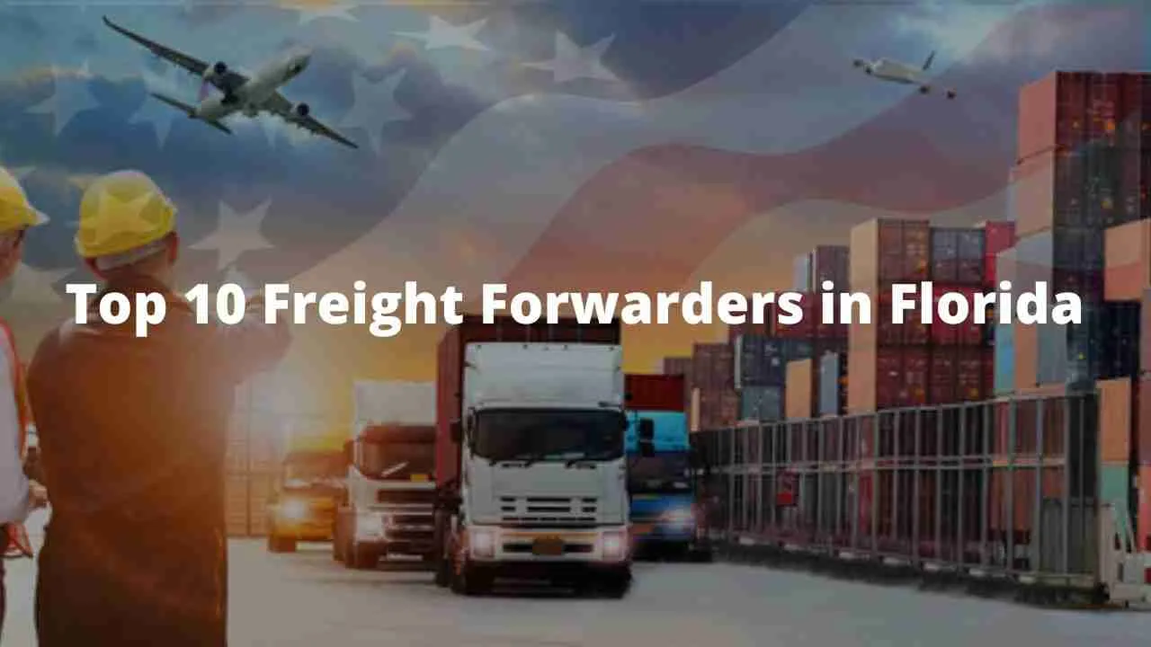 Los 10 mejores transportistas de Florida: por qué son los mejores